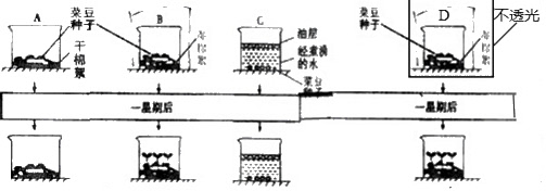 澳门新葡官网进入网站8883