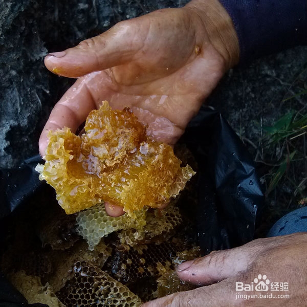 澳门新葡官网进入网站8883