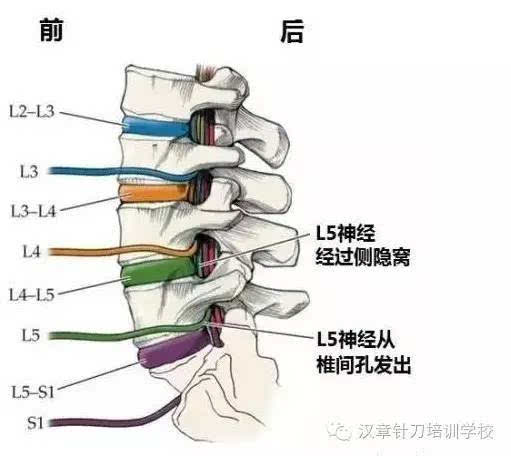 澳门新葡官网进入网站8883